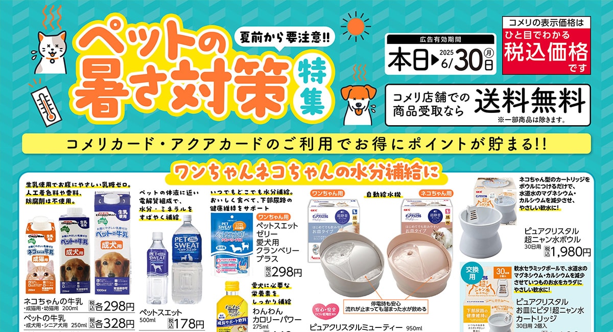ペットの暑さ対策特集