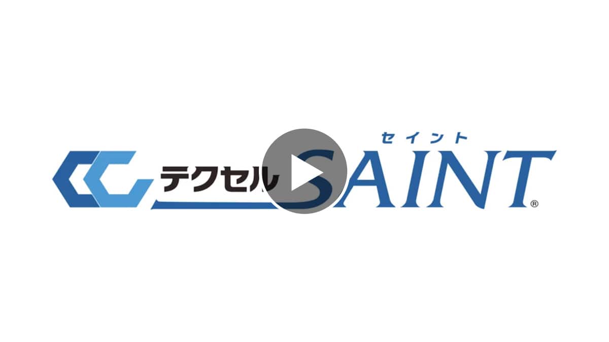 テクセルSAINT