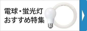 LED特集